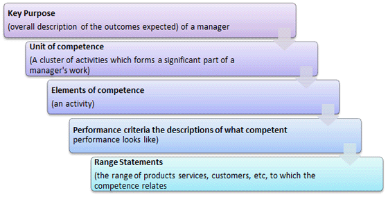 Competency Development