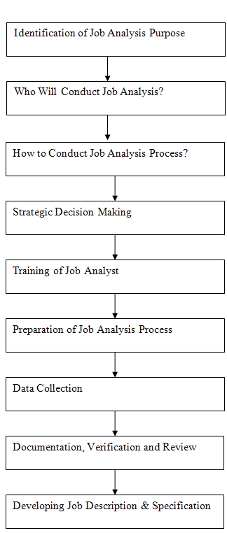 Job Analysis Process