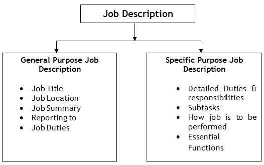 Purpose of the job specification