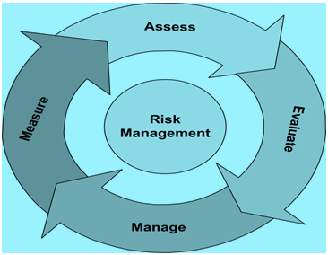 Image result for Risk Management