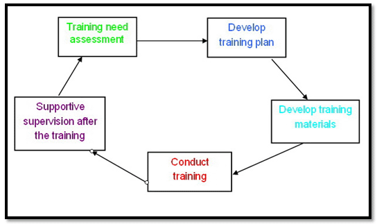 Five Stages In Developing A Program