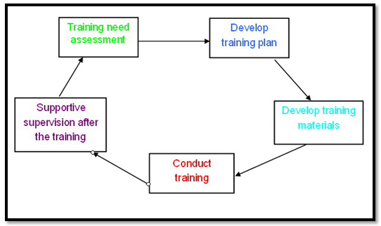 Stages in Training Program