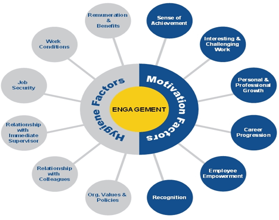 Hygiene and Motivation Factors for Employee Engagement