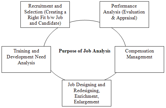 Job Analysis: Meaning, Importance, Components, Methods, Process