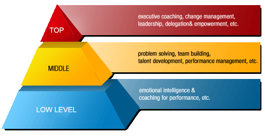 Management levels