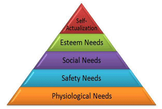 Maslows Need Hierarchy Model