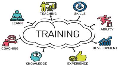 Training and Development Activities