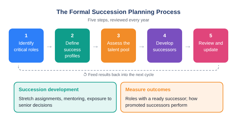 Five-step formal succession planning process, from identifying critical roles to review and update, with results fed back into the next cycle