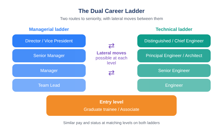 Dual career ladder diagram: managerial and technical ladders rising from a shared entry level, with lateral moves possible between them at each level