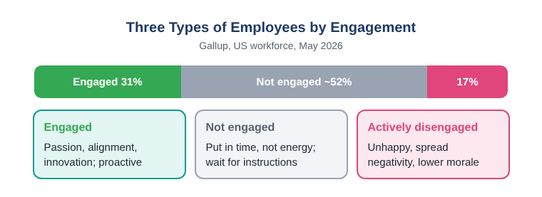 Bar showing Gallup's May 2026 US split of 31% engaged, about 52% not engaged and 17% actively disengaged employees, with traits of each type