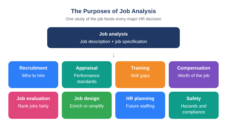 Diagram showing job analysis producing the job description and specification, which feed recruitment, appraisal, training, compensation, job evaluation, job design, HR planning and safety